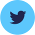 twitter-icon